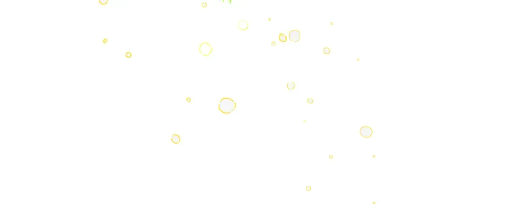 第336页
