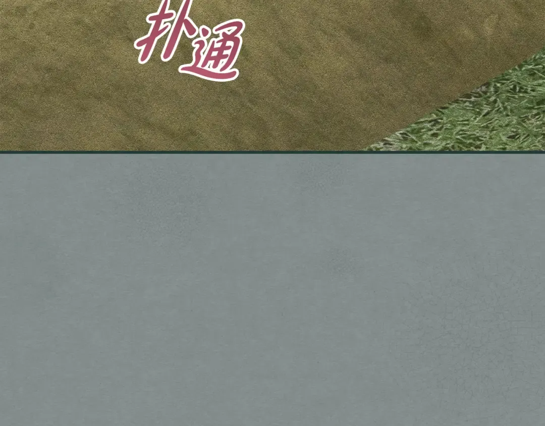 第186页