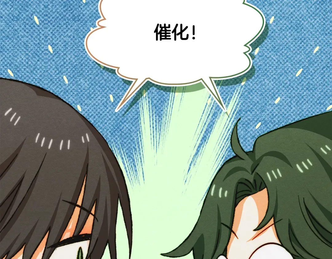 第243页