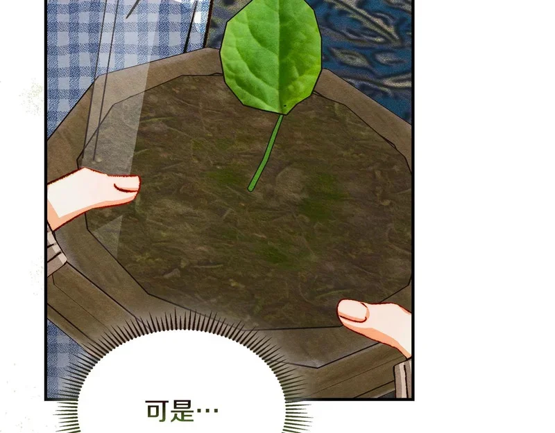 第339页