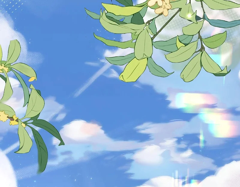 第237页