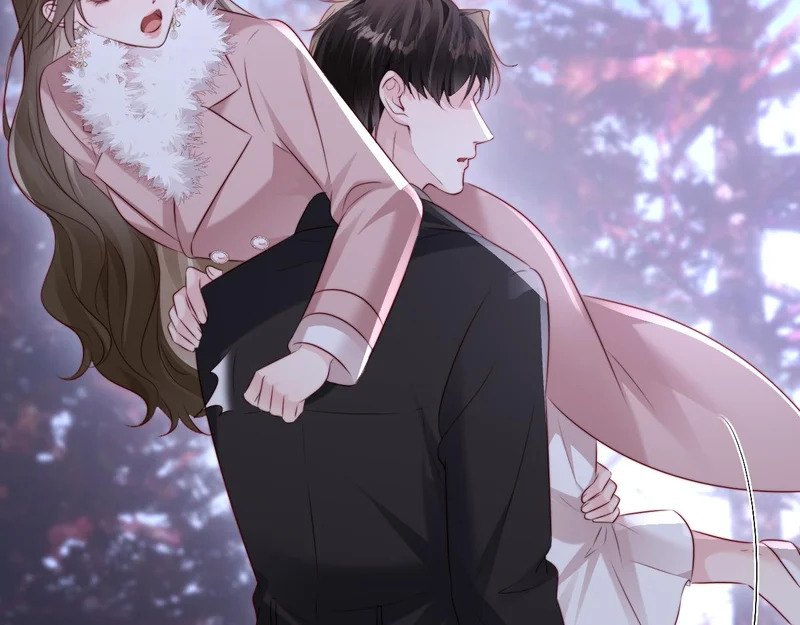 第204页