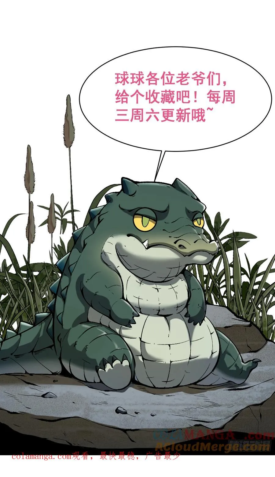 第216页