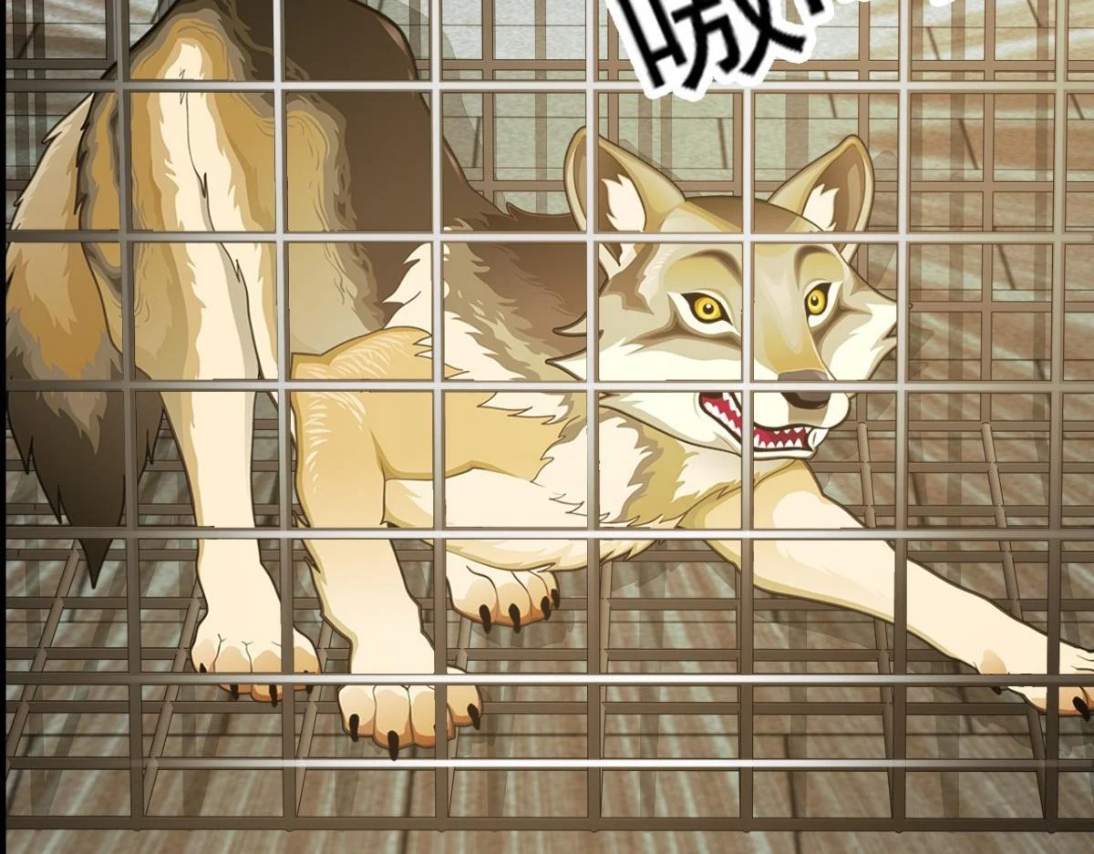 第246页