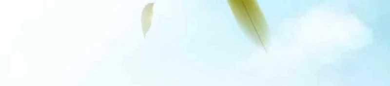 第306页