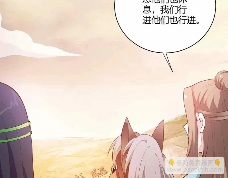 第204页