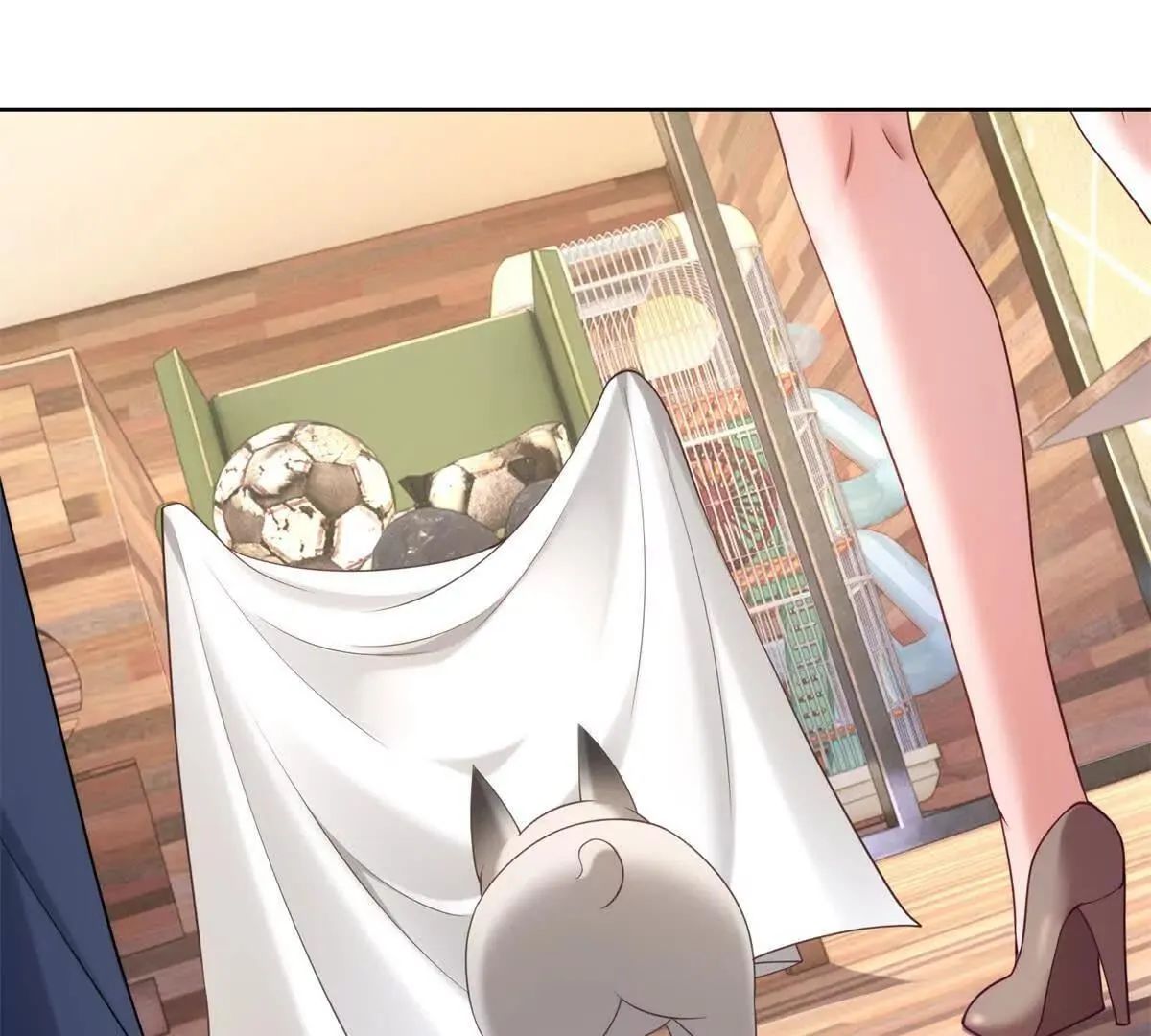 第243页