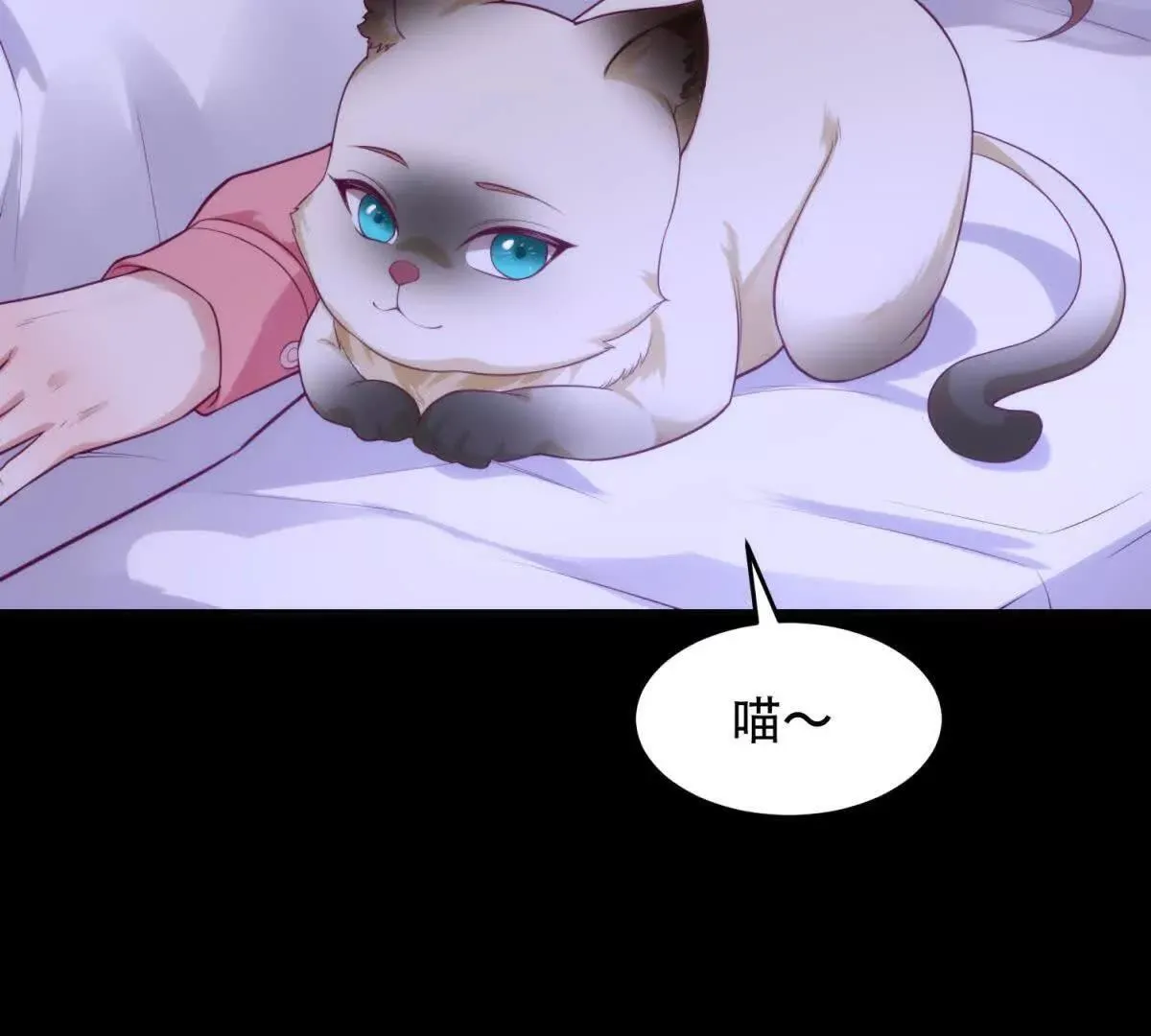 第339页