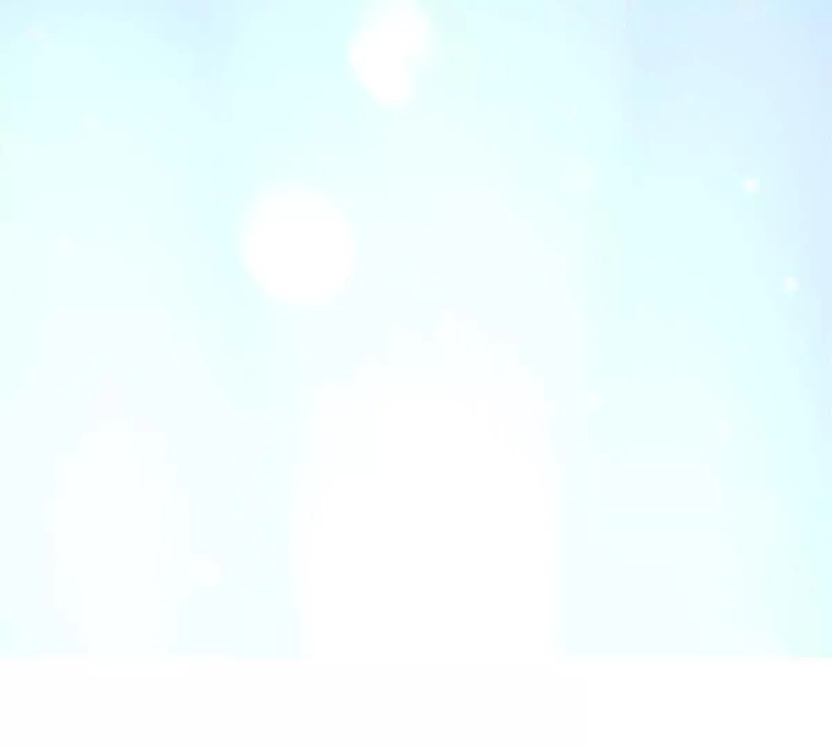 第264页