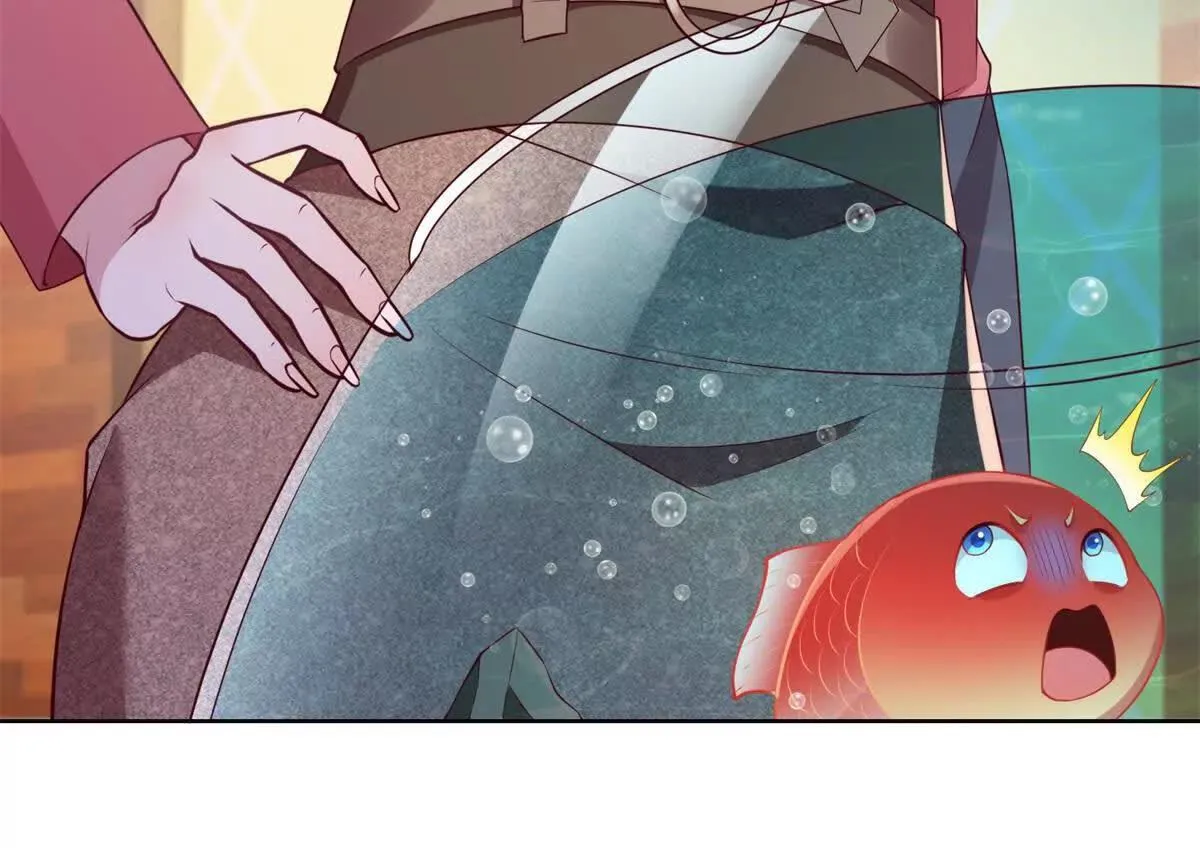 第204页