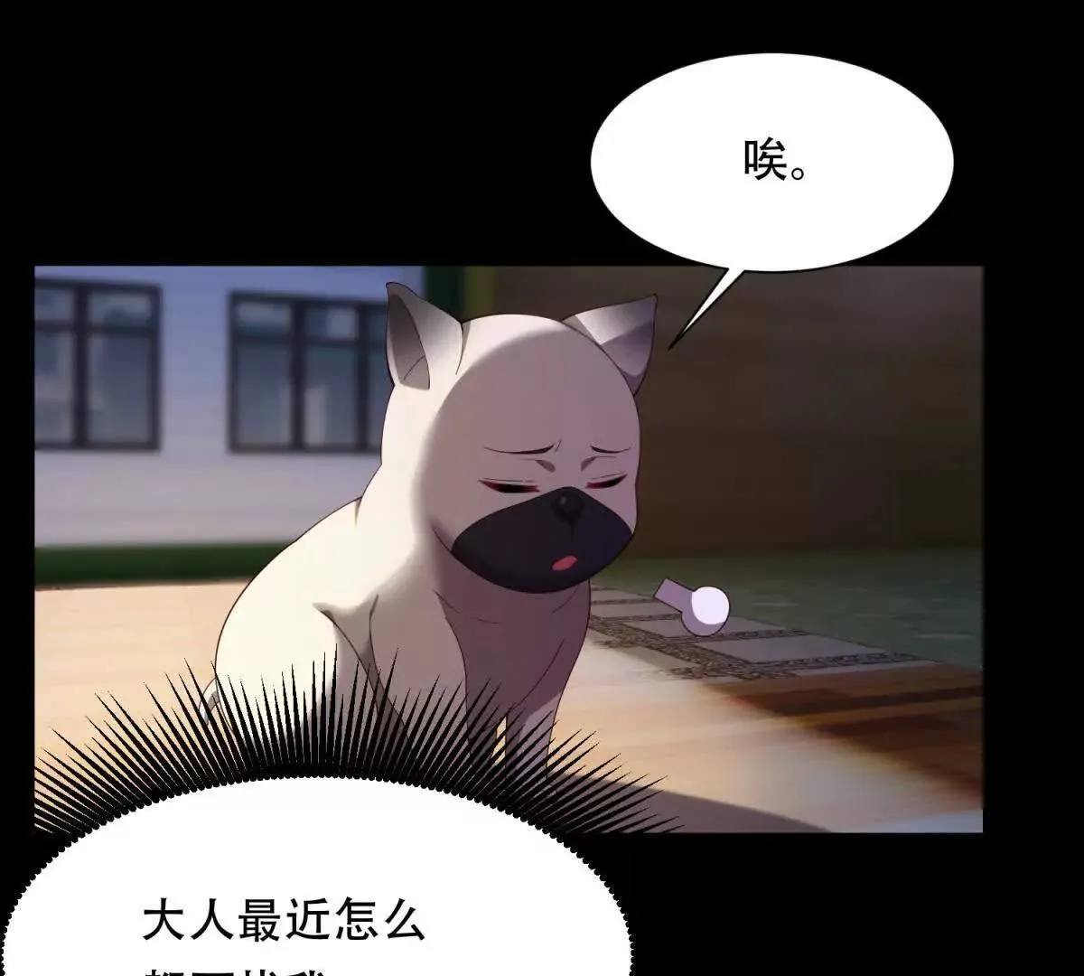 第255页