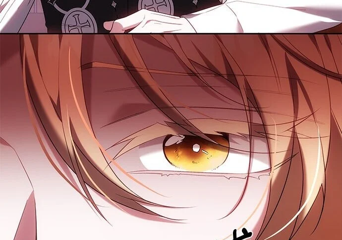 第507页
