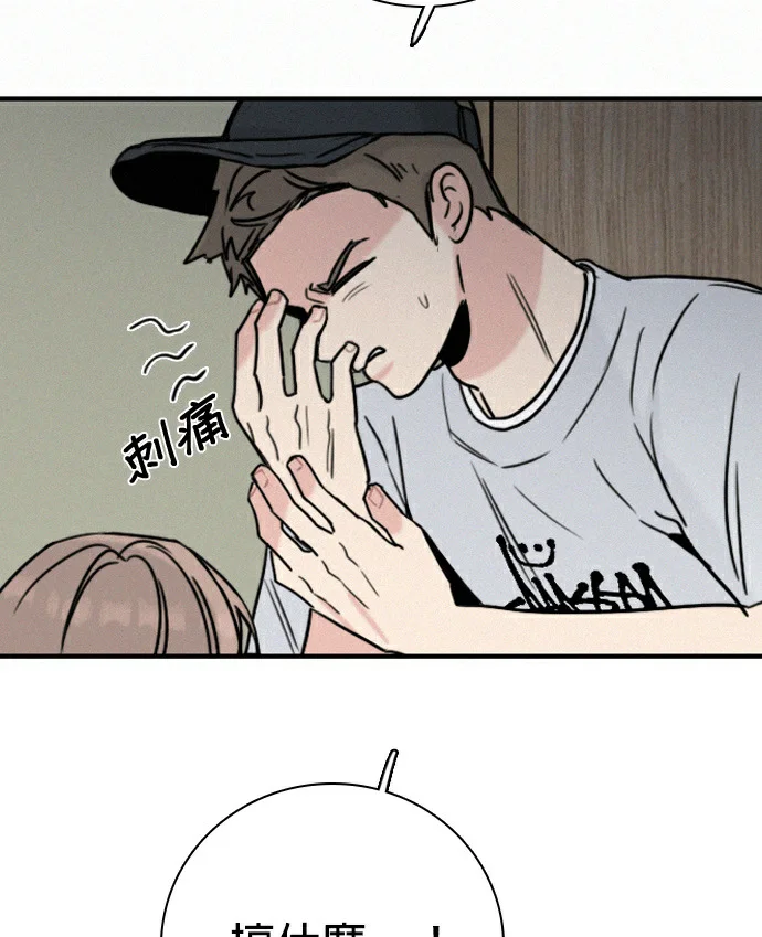 第231页