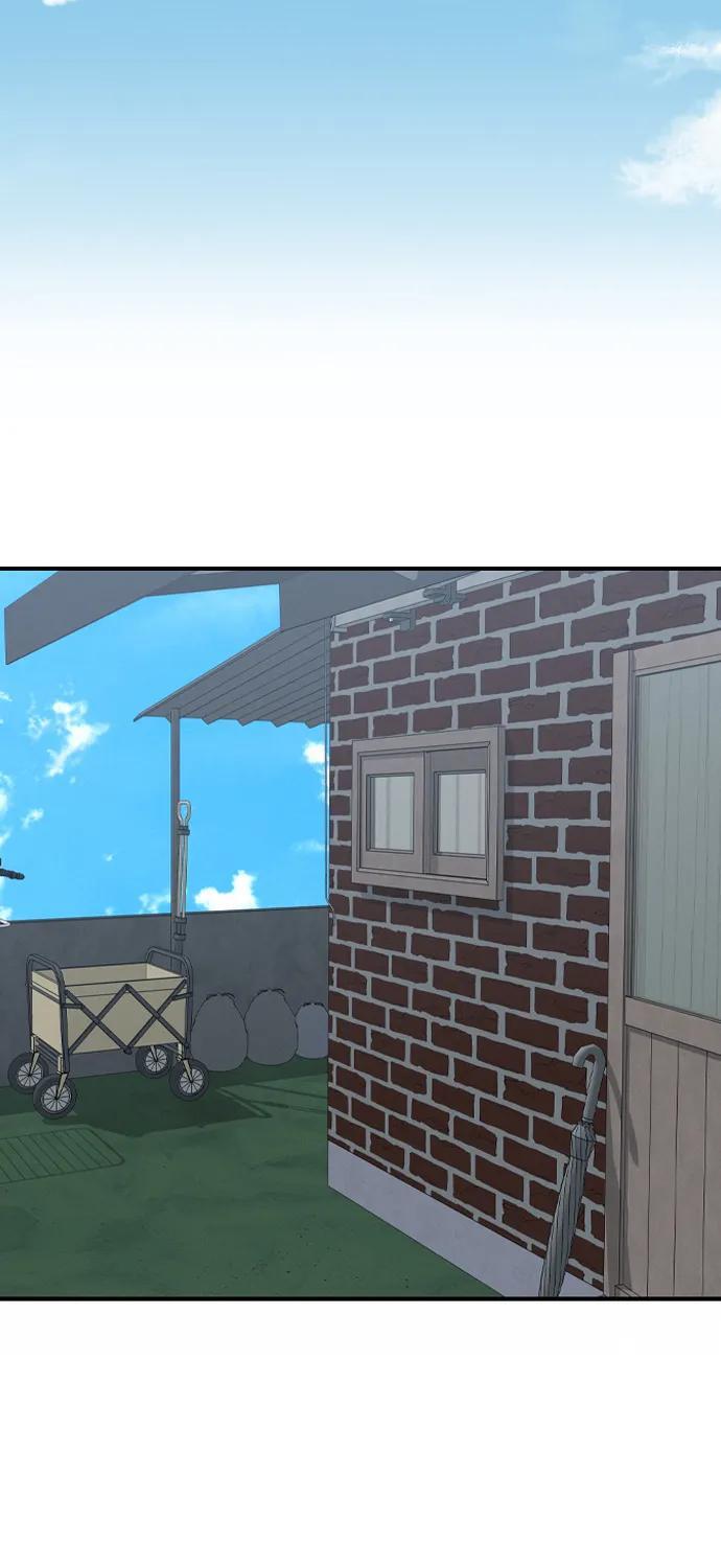 第258页