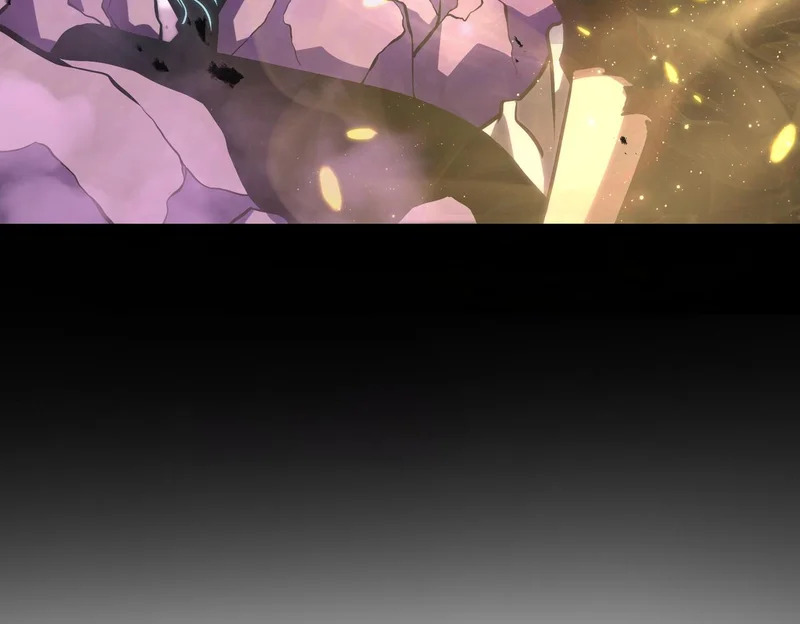 第351页