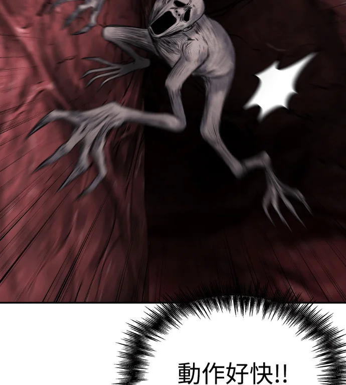 第255页