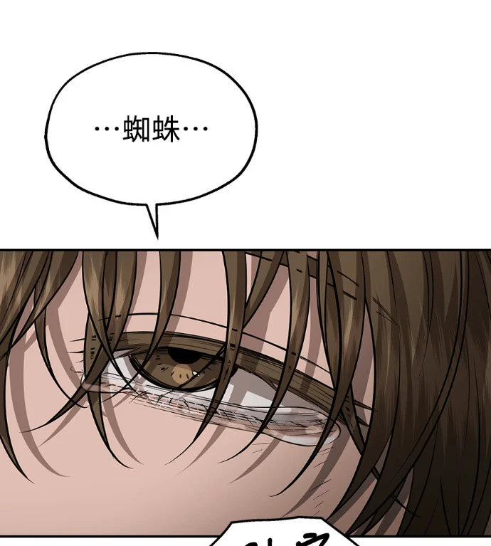 第333页