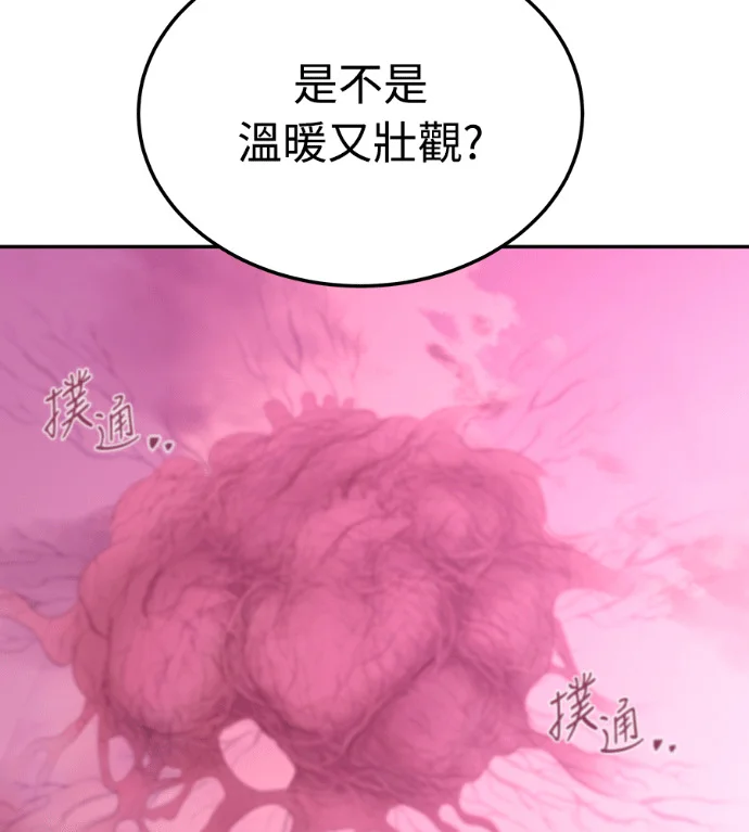第351页