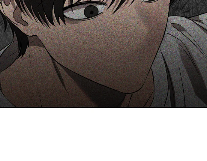 第531页