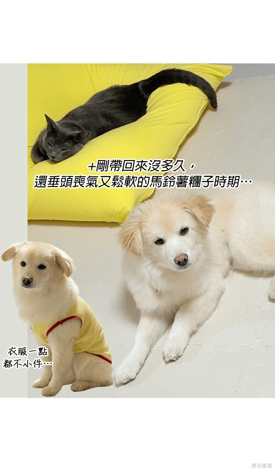 第78页