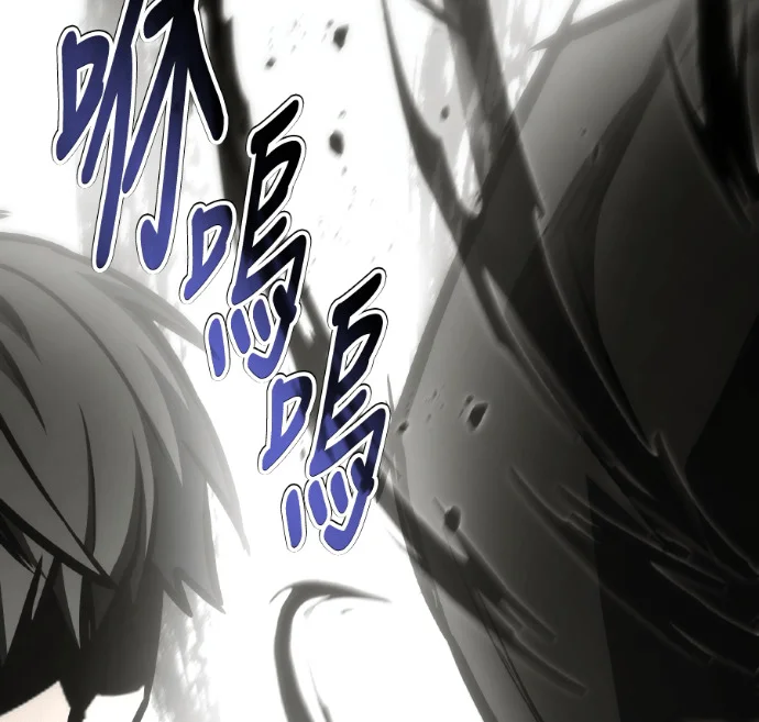 第219页