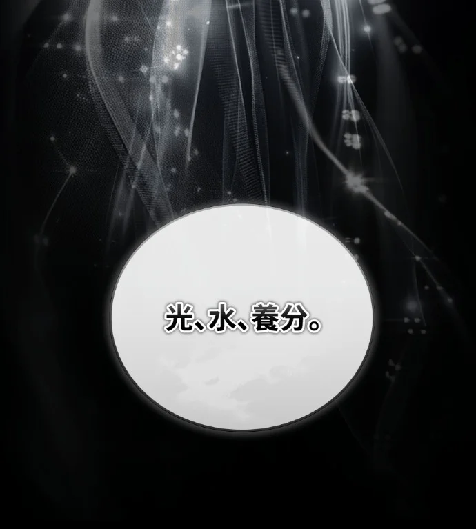 第525页