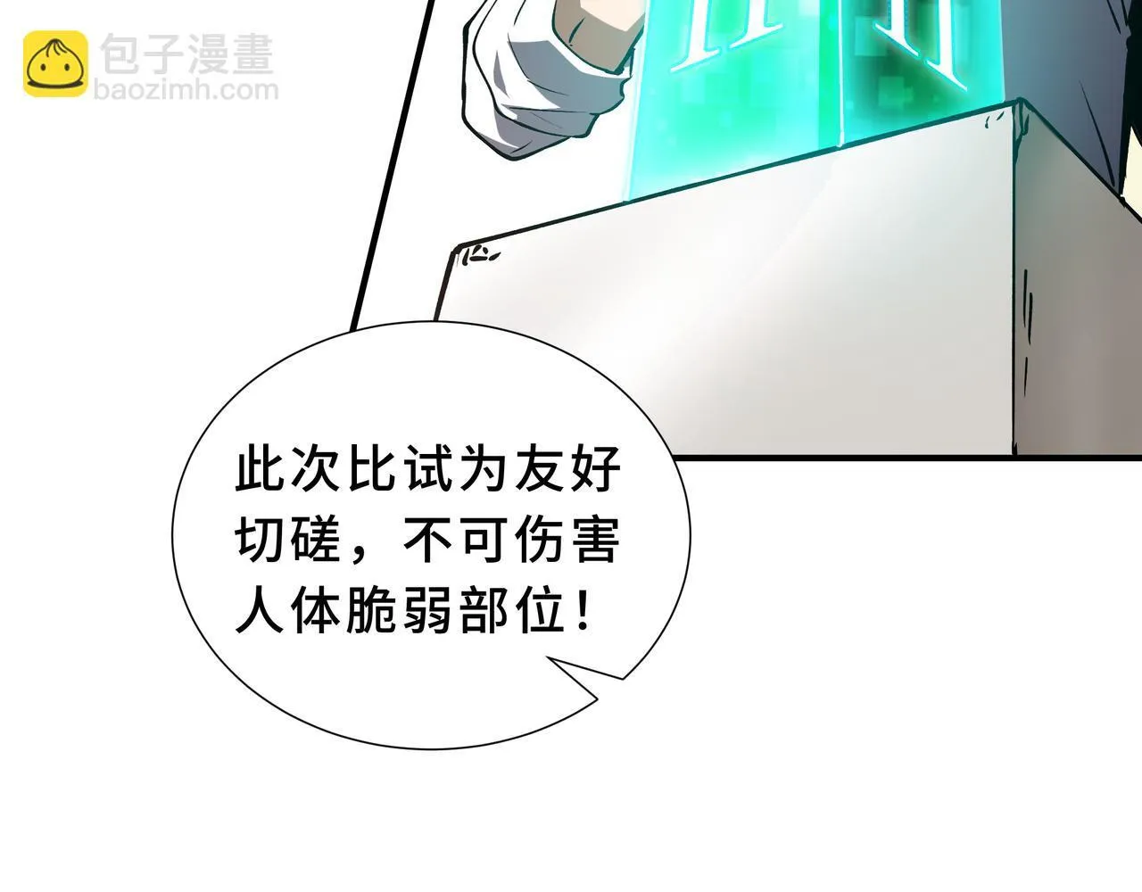 第333页