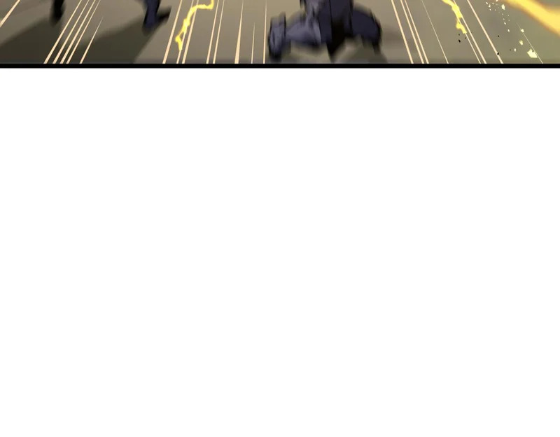 第333页