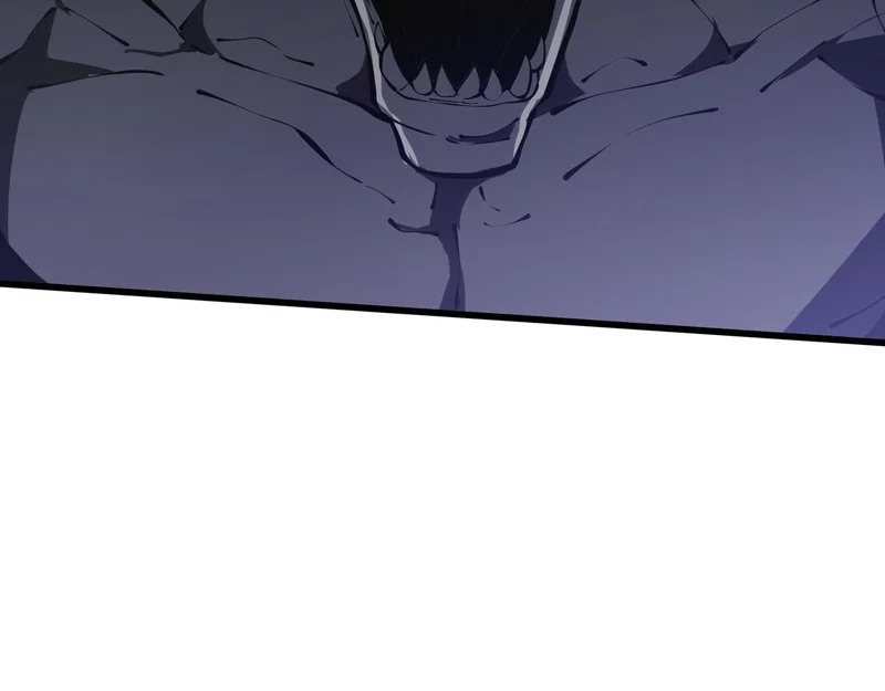 第246页