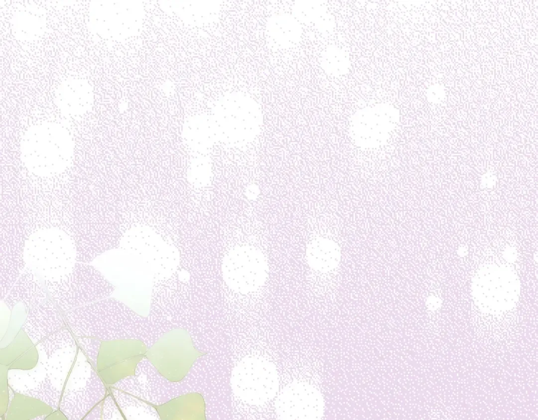 第504页