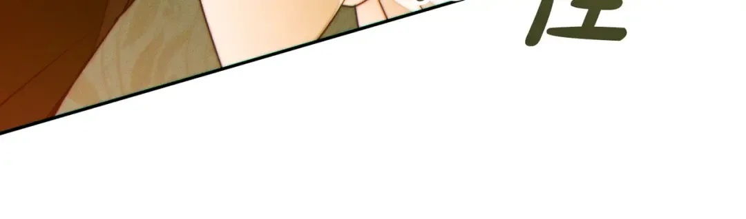 第504页