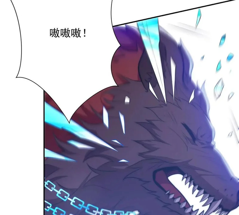 第219页