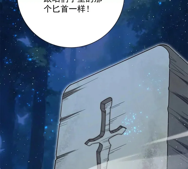 第246页