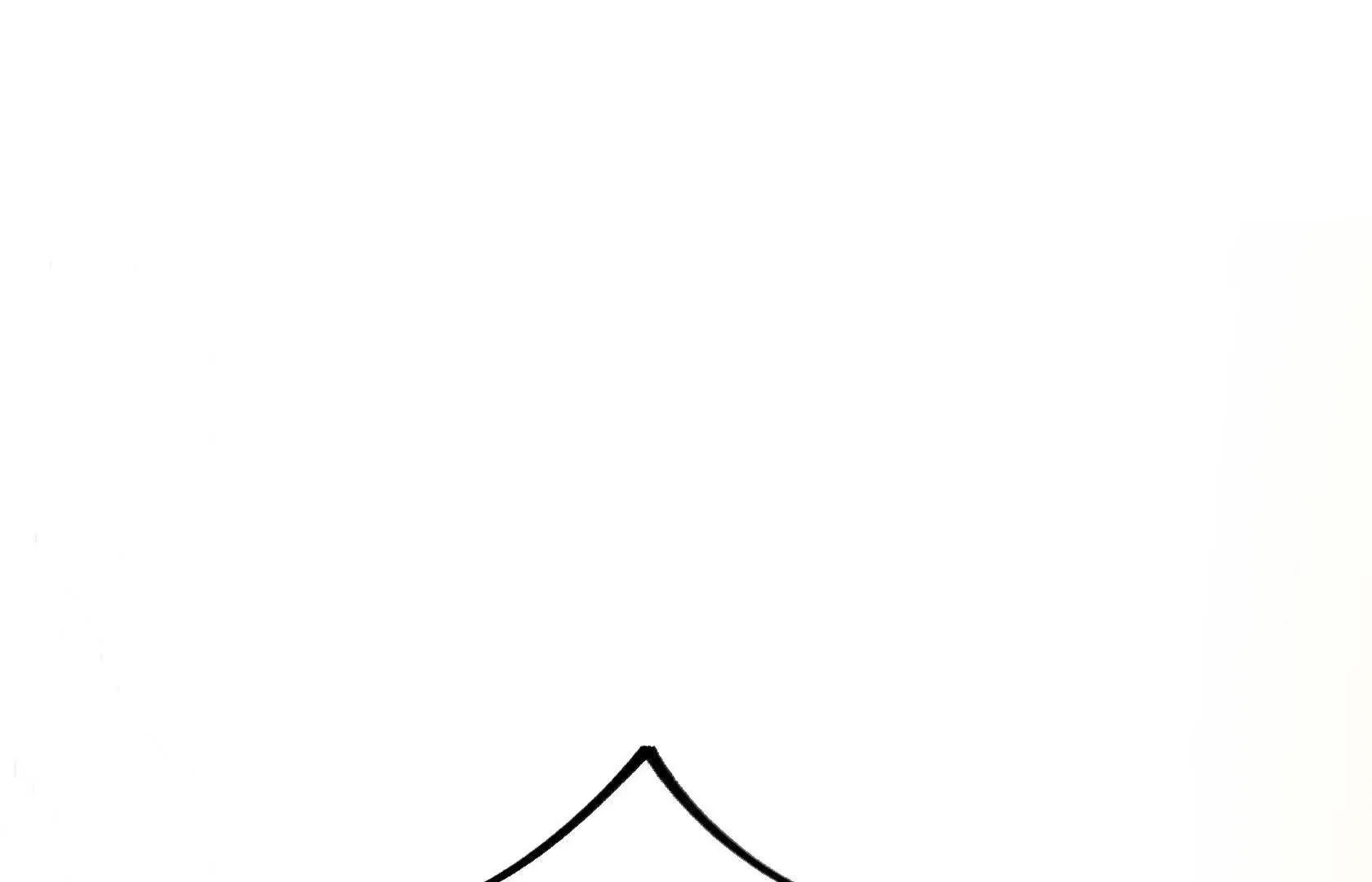 第255页
