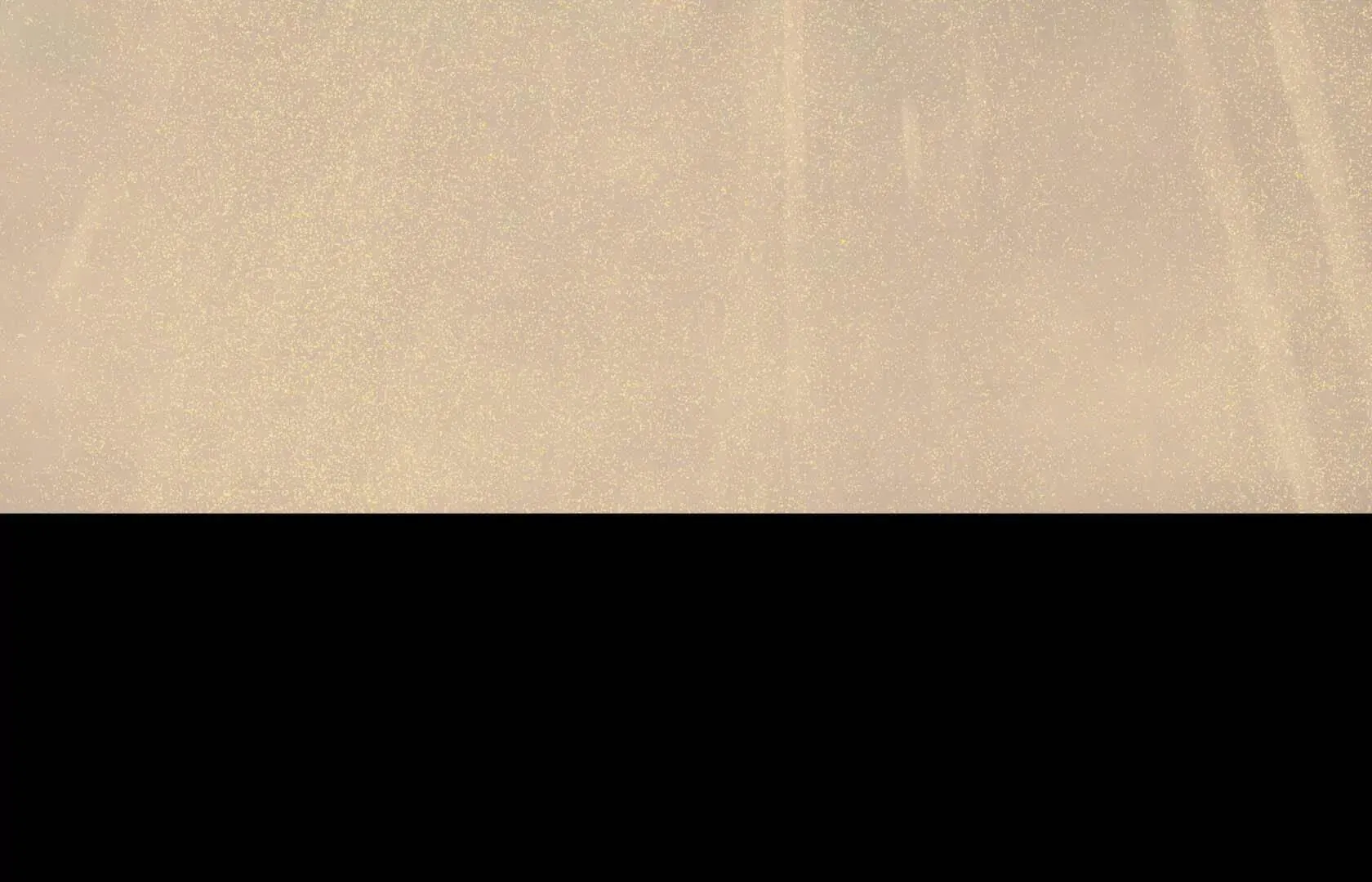 第441页