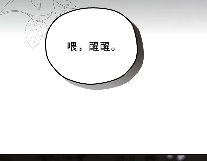 第243页
