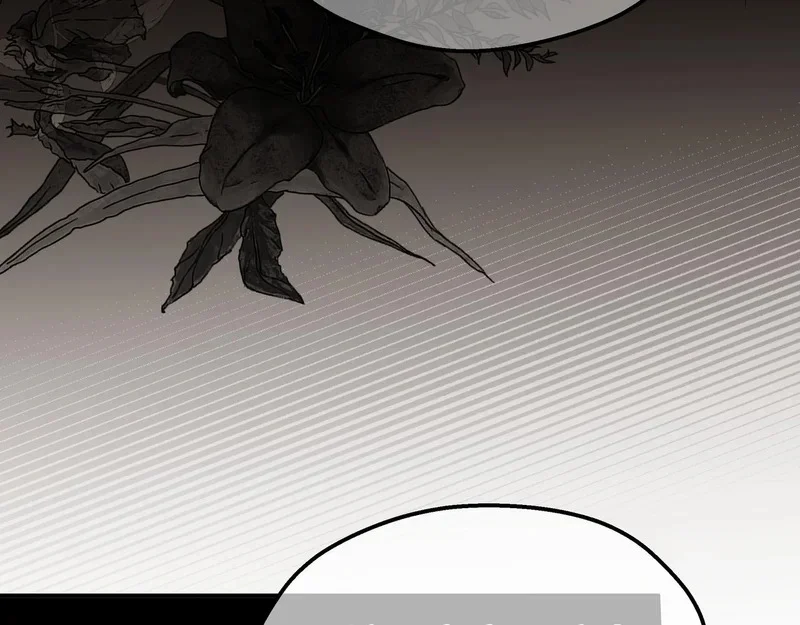 第255页