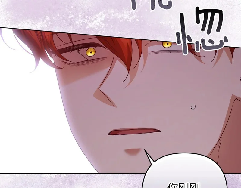 第252页