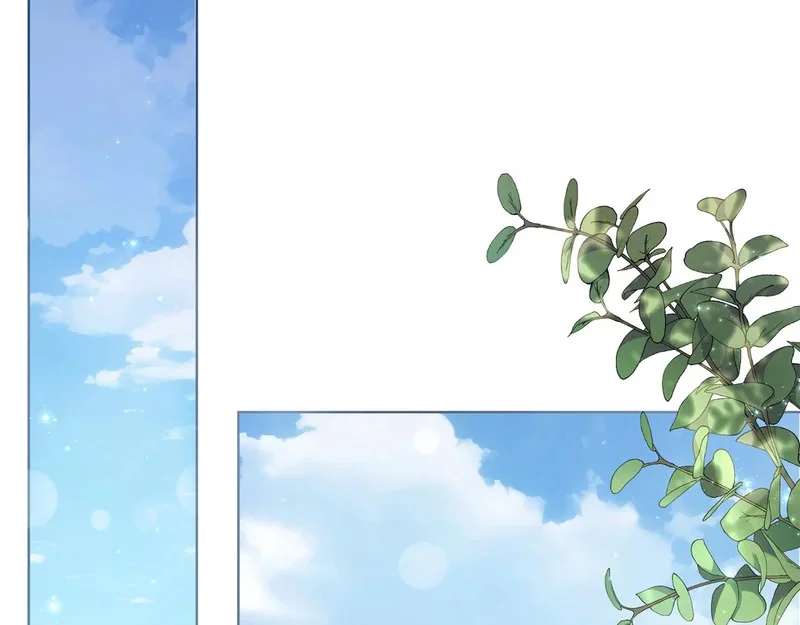 第531页