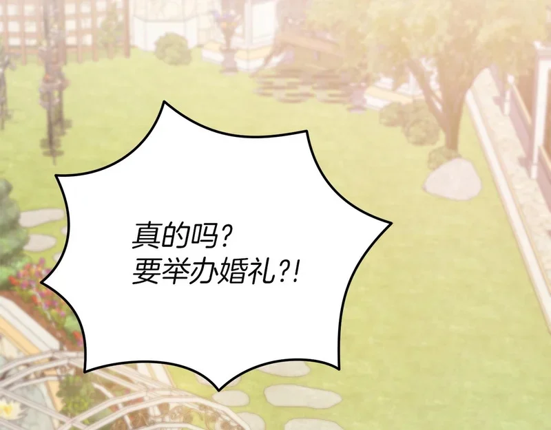 第342页
