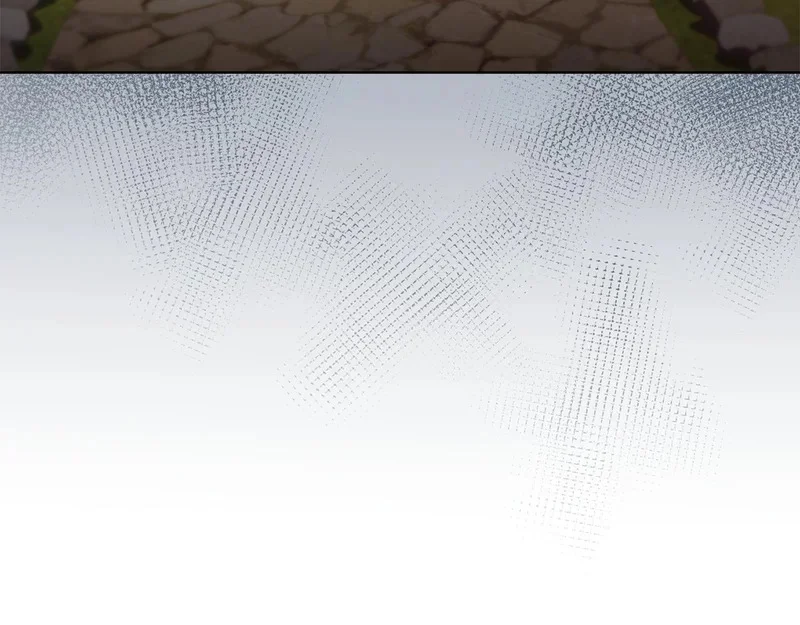 第558页