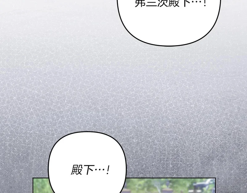 第459页