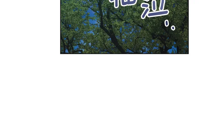 第273页