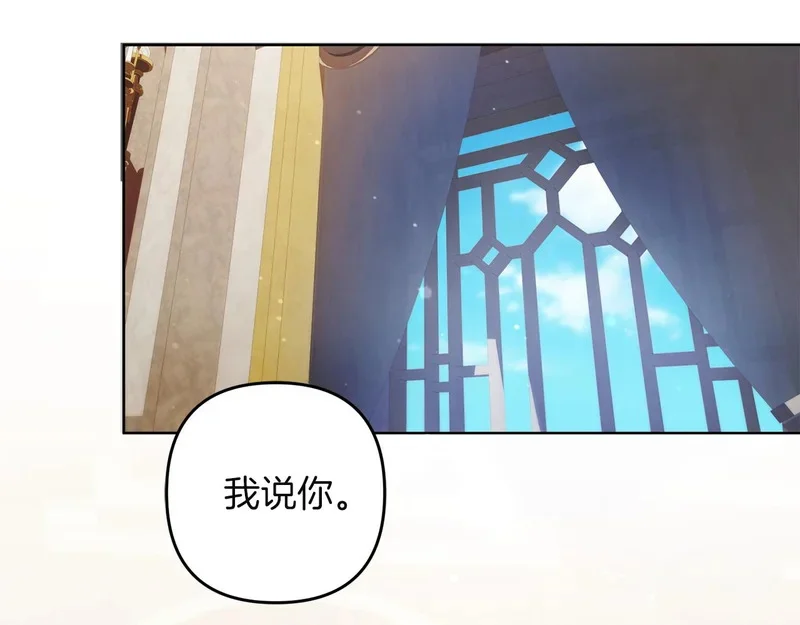 第243页