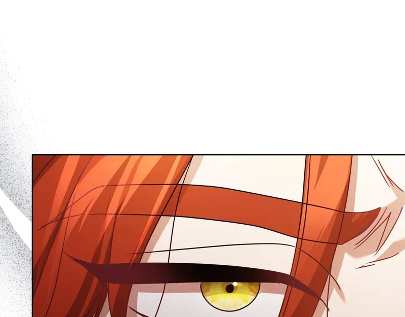 第564页