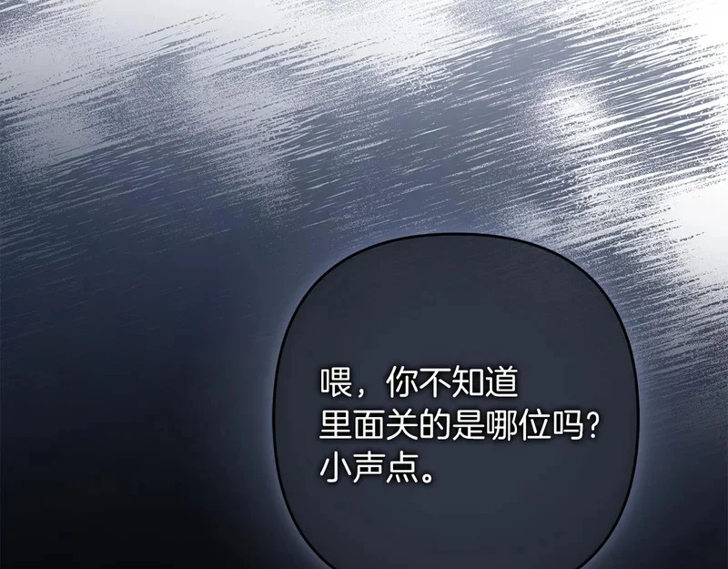 第585页