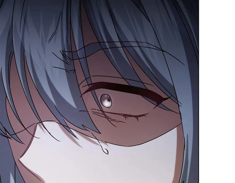 第567页