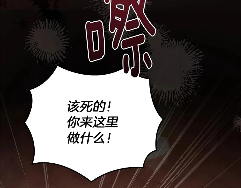 第537页