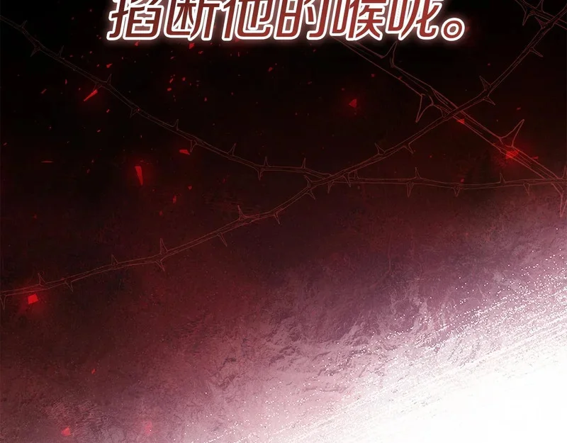 第238页