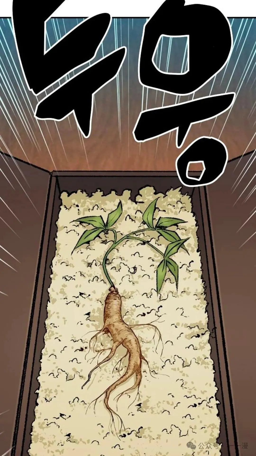 第267页